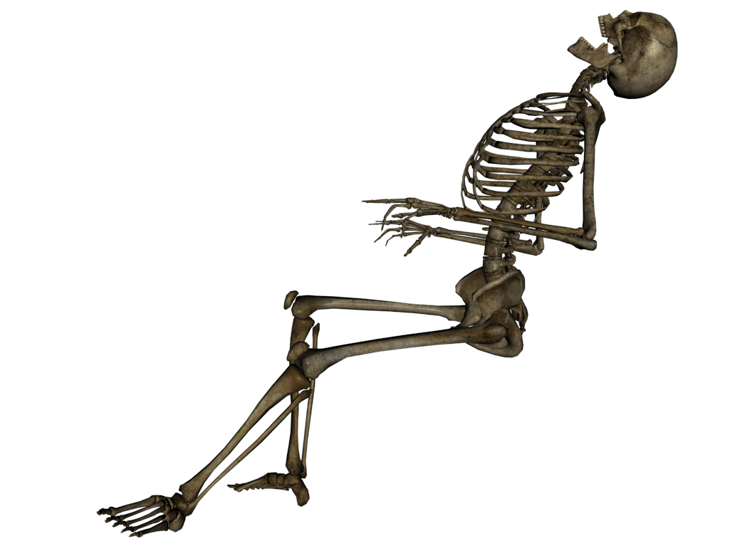 Imagen Transparente esqueleto de cuerpo completo