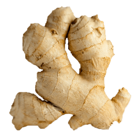 Ginger PNG High-Quality Image