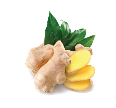 Ginger PNG Photo