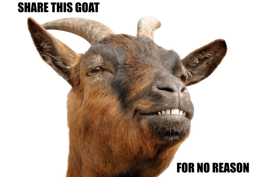 Goat PNG Download Image