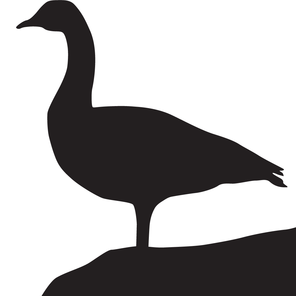 Goose PNG unduh Gambar