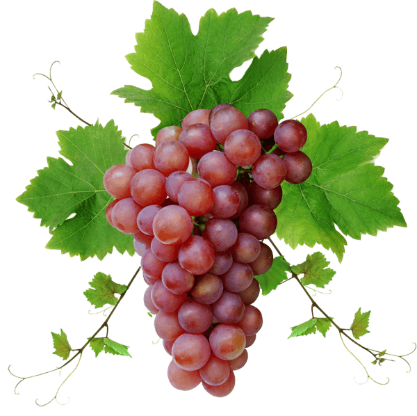 Виноград PNG изображения фон