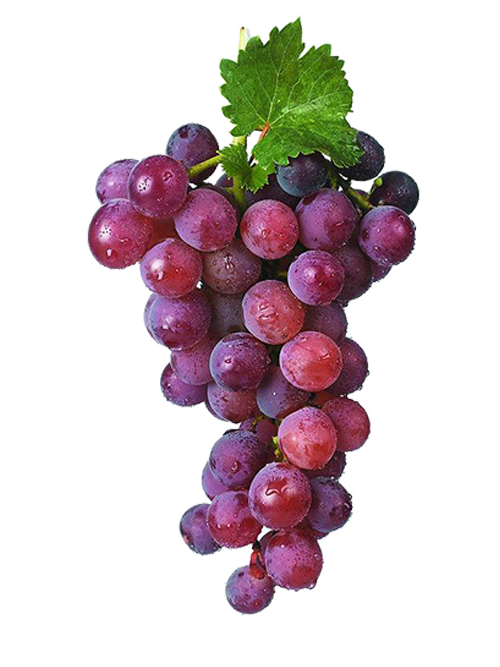 Grapes Transparent Images