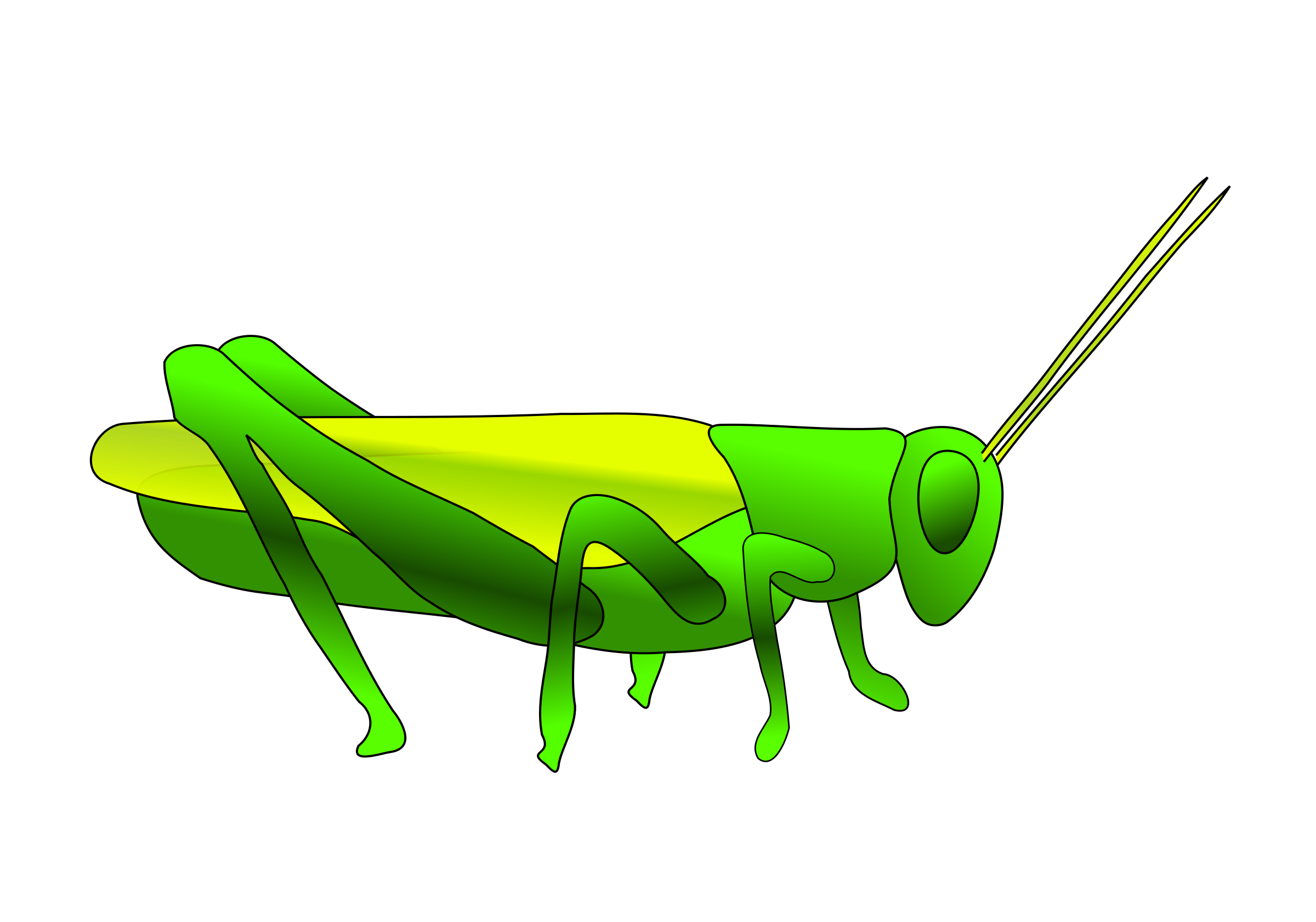 Grasshopper Free PNG Image