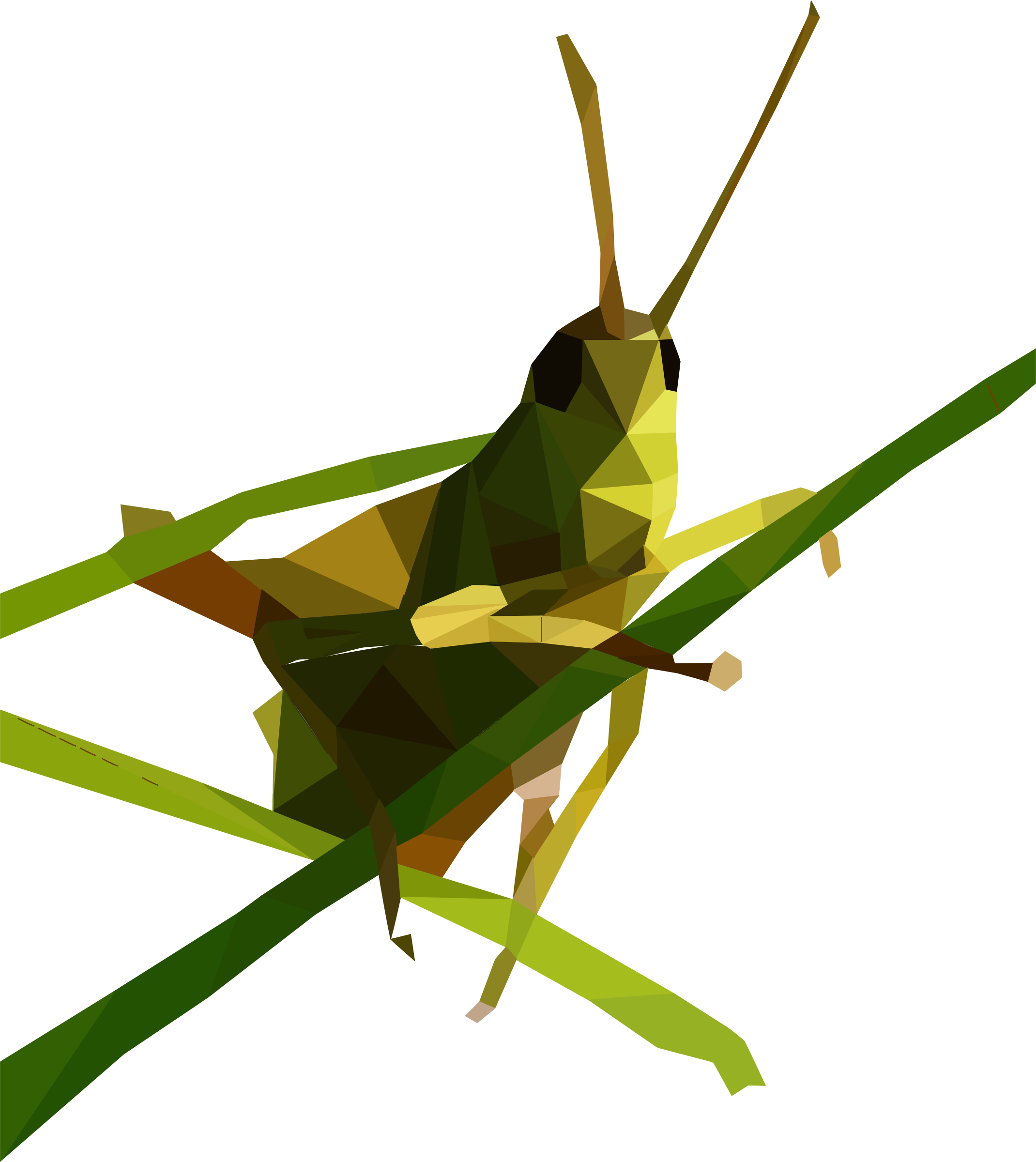 Grasshopper PNG Download Image
