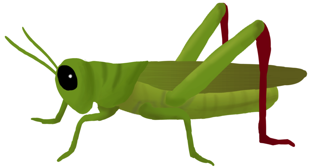 Grasshopper PNG Image Transparent Background