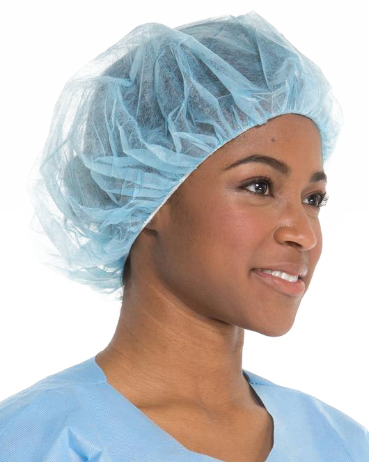 Hairnet PNG Photo