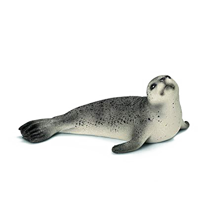 Harbor Seal PNG High-Quality Image