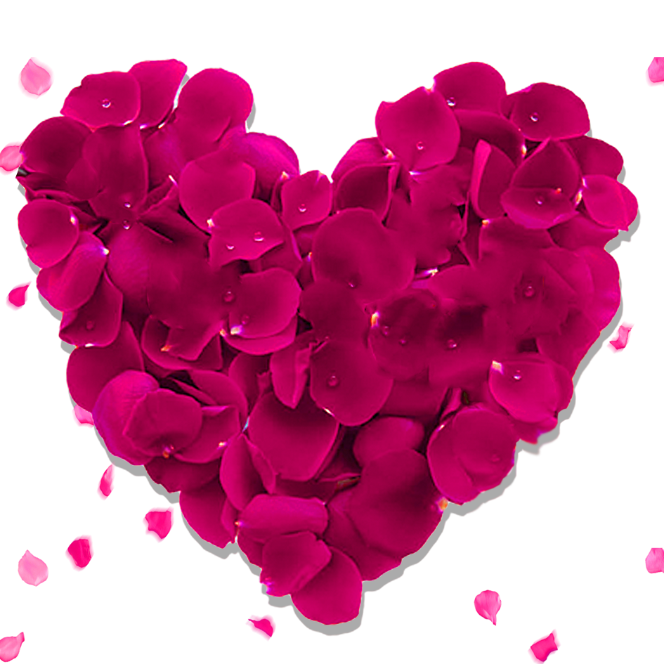Coração Rose PNG Baixar Imagem