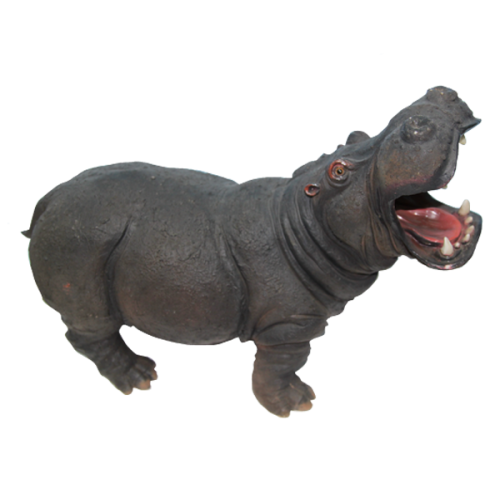 Hippo PNG Background Image