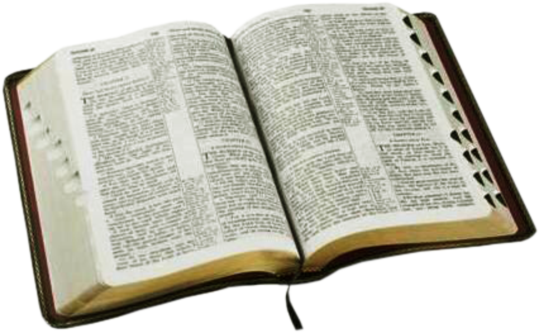 Holy Bible Transparent Background PNG