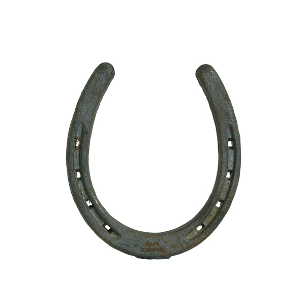 Horseshoe PNG High-Quality Image