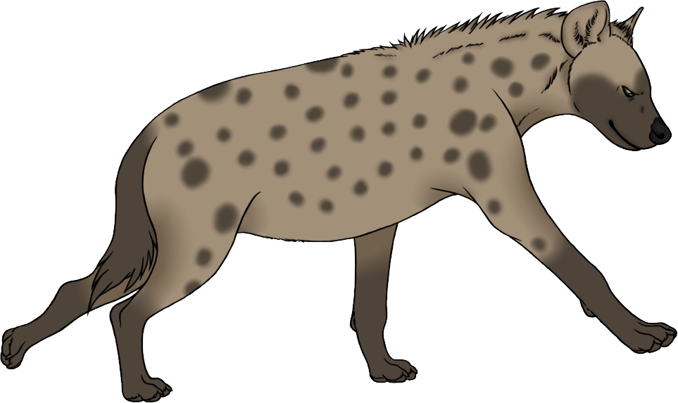 Hyena PNG High-Quality Image