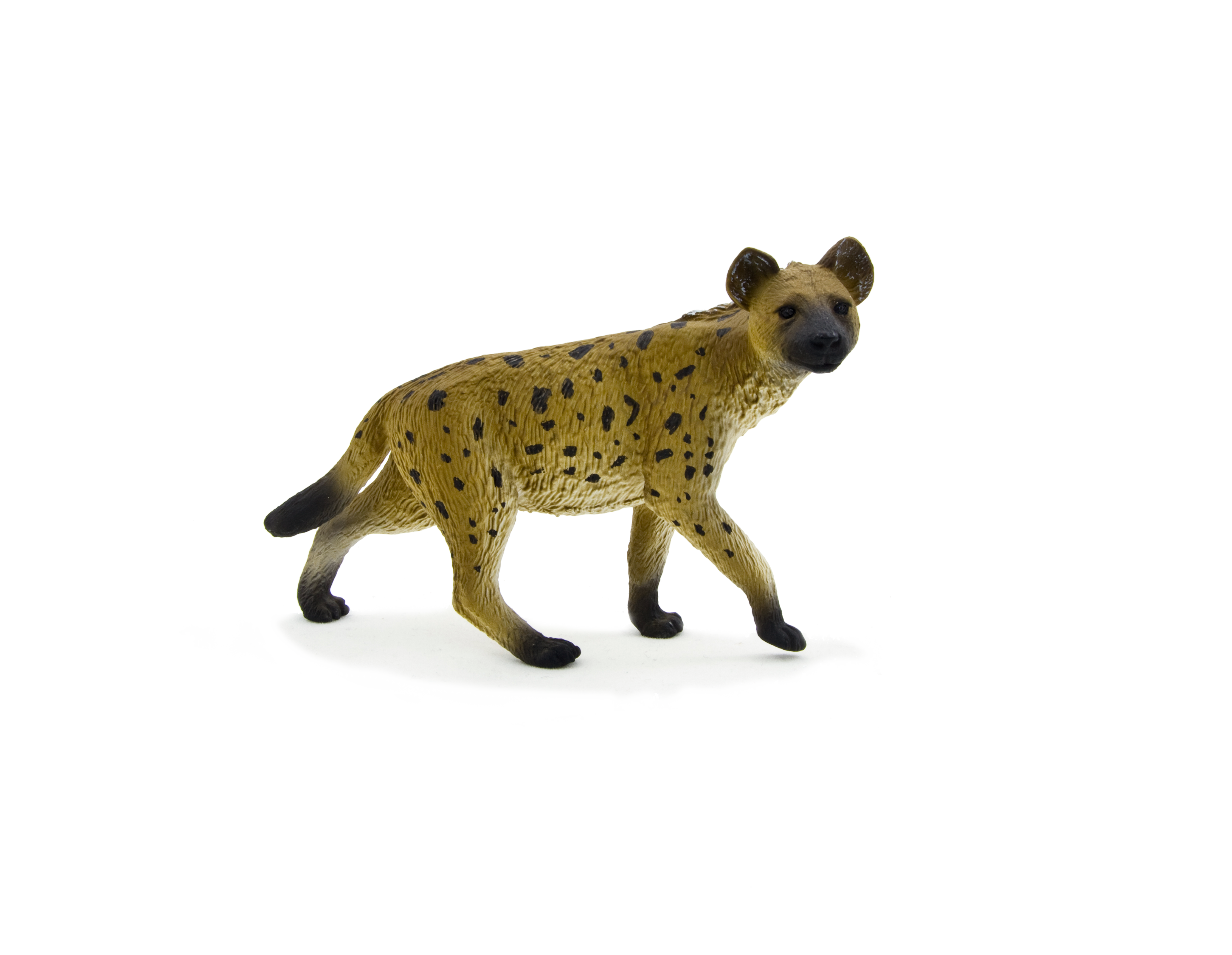 Hyena PNG Image Background