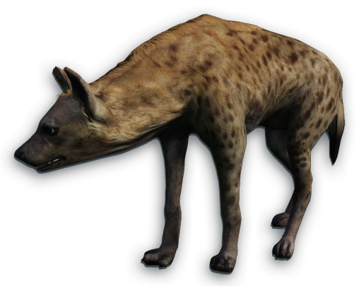 Hyena PNG Image
