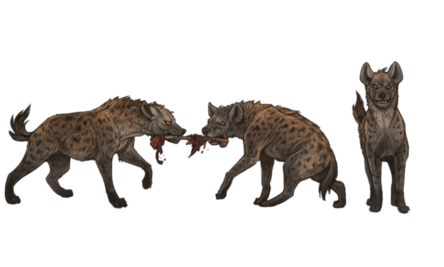 Hyena Transparent Background PNG