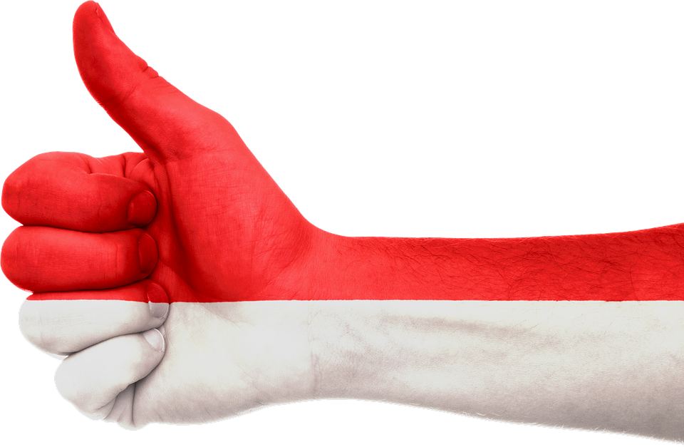Indonesia Flag Free PNG Image