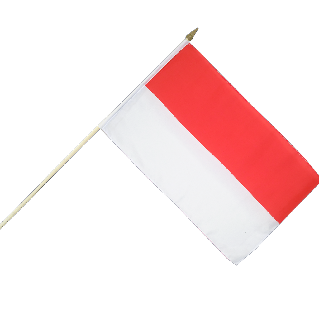 Indonésia flag PNG Pic