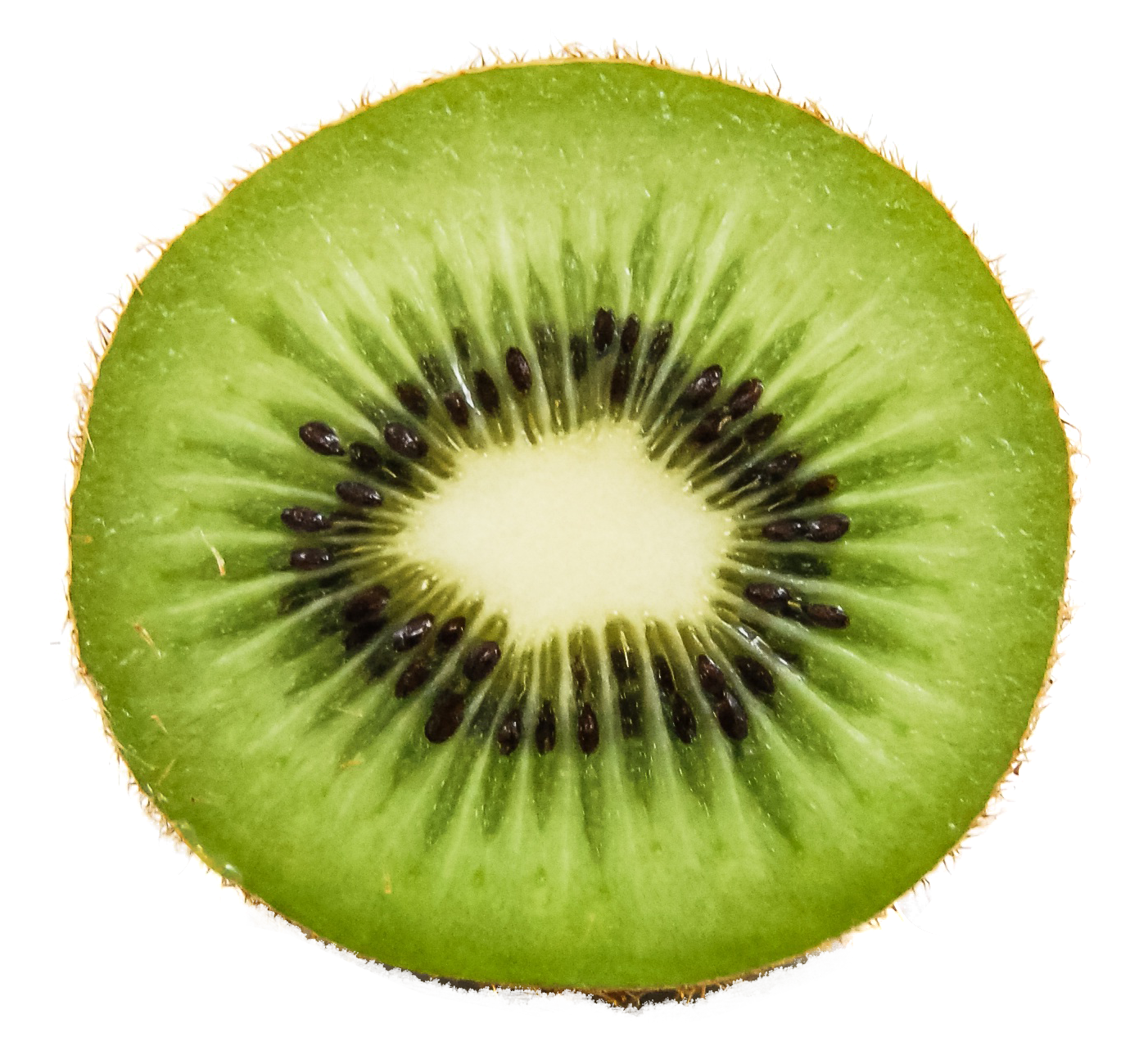 Kiwi PNG Gambar