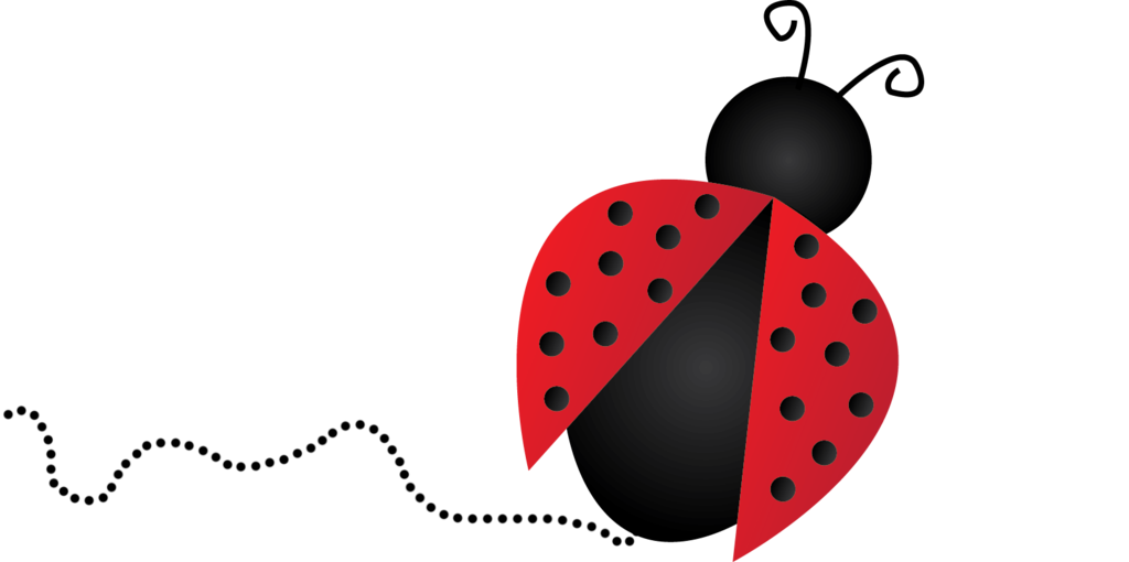 Ladybug Insect PNG Image Transparent