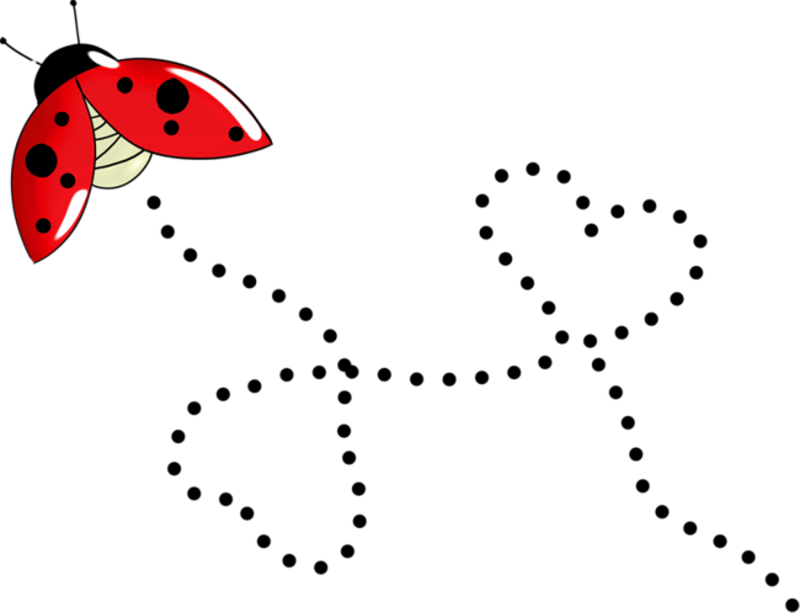 Ladybug насекомые прозрачные изображения