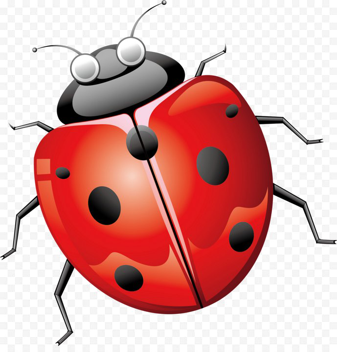 Ladybug Transparan Gambar