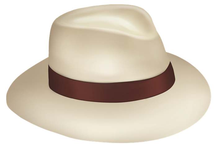 Immagine del cappello da paralume PNG