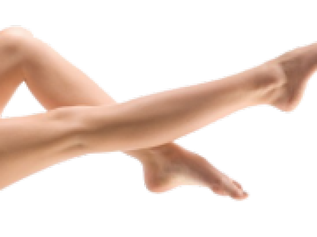 Legs PNG Background Image
