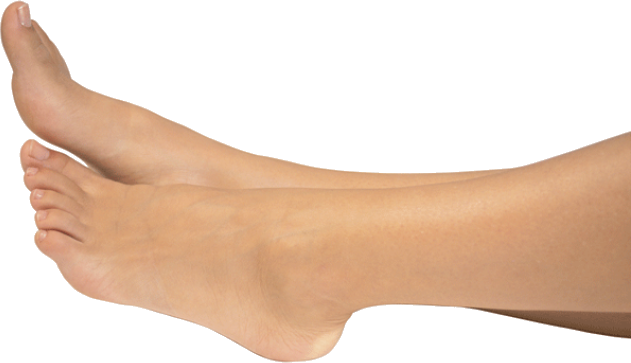 Legs PNG Photo