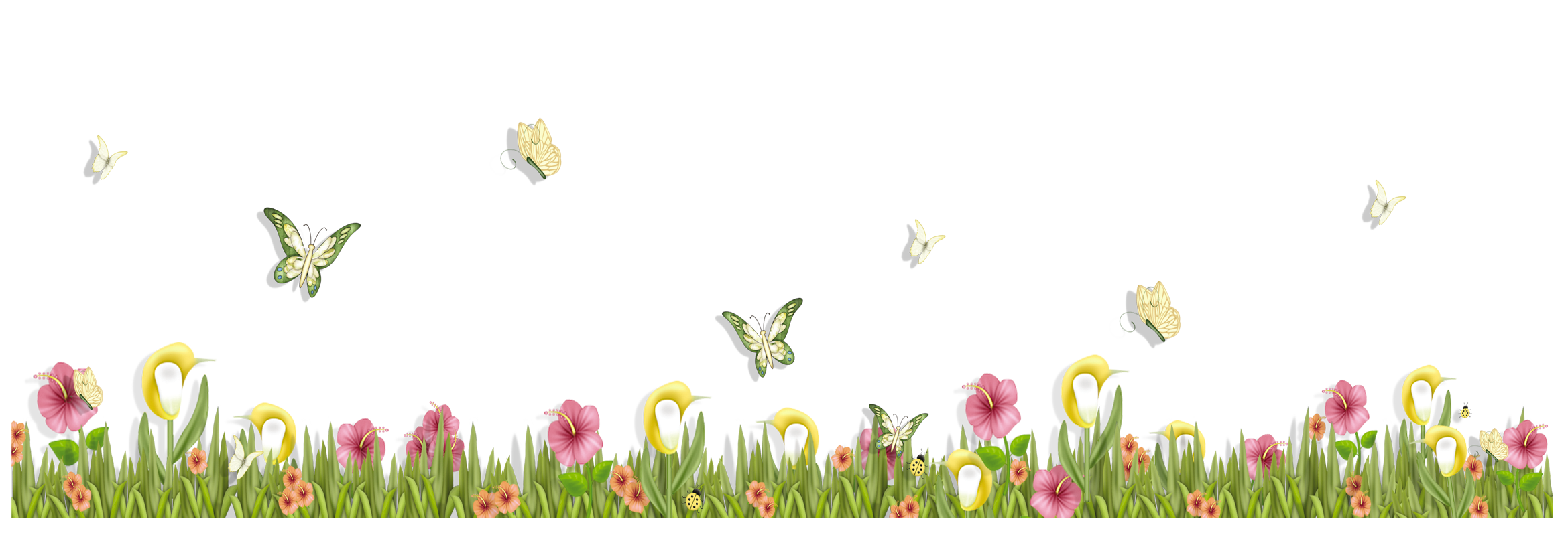 Meadow PNG Image Background