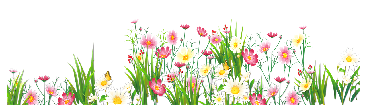 Meadow PNG Transparent Image
