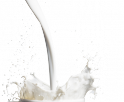Image Transparente de lait PNG