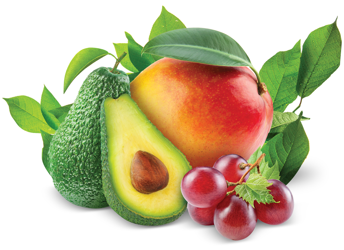Mix Fruit PNG High-Quality Image