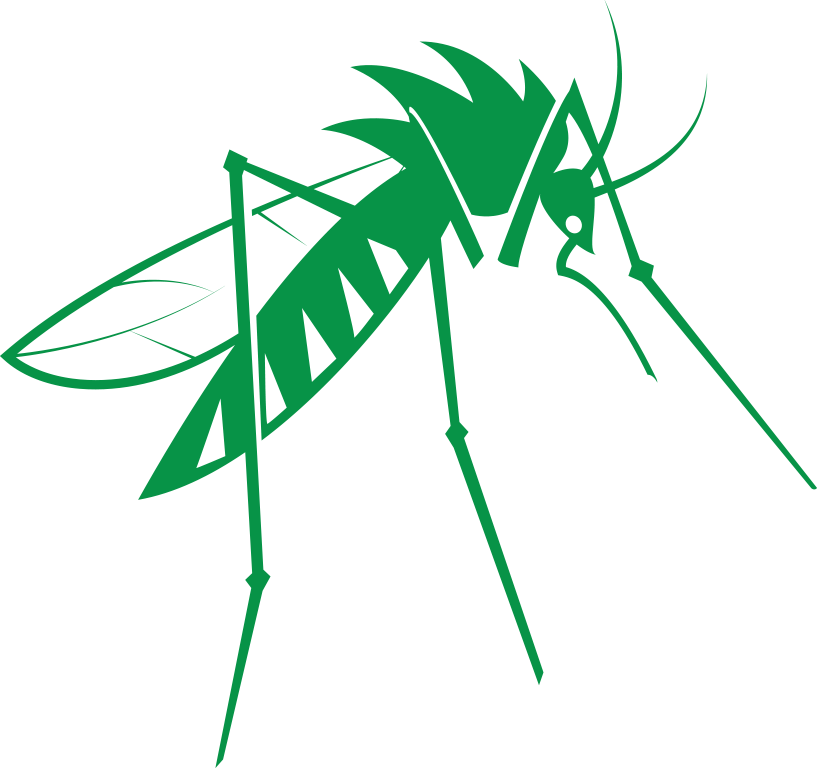 Mosquito PNG Free Download
