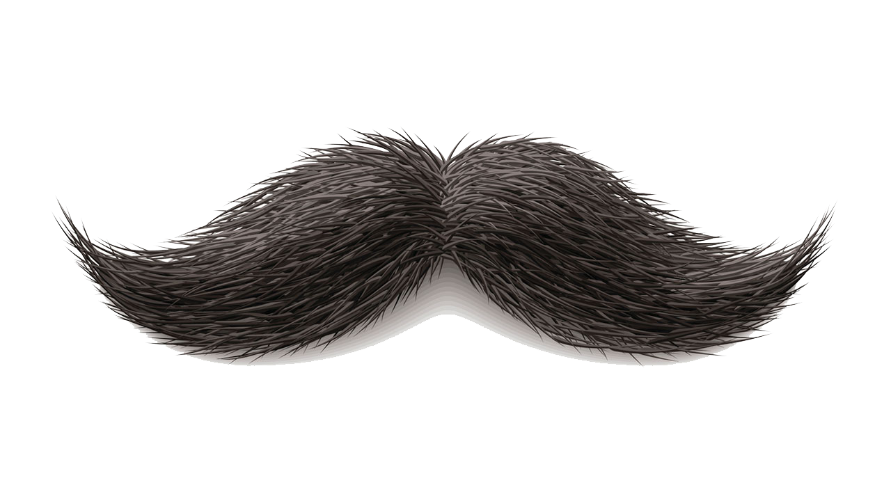 Moustache PNG Transparent Image