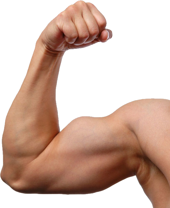 근육 팔 PNG 이미지 투명 배경