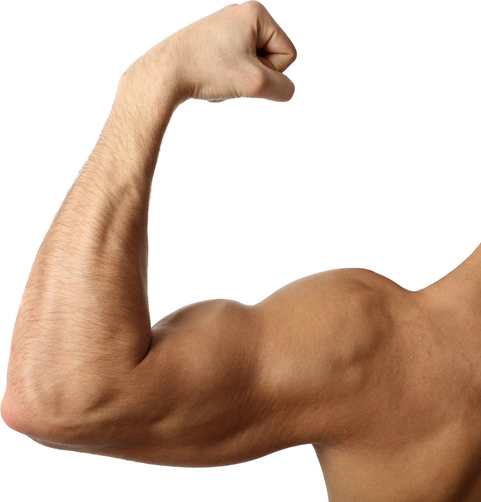 Muscle Arm Transparent Background PNG