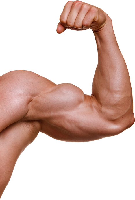 Muscle PNG Free Download