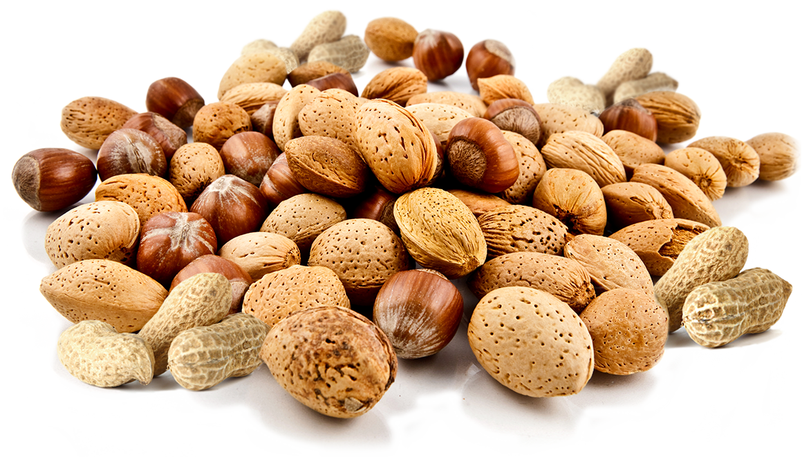 Nut PNG Background Image