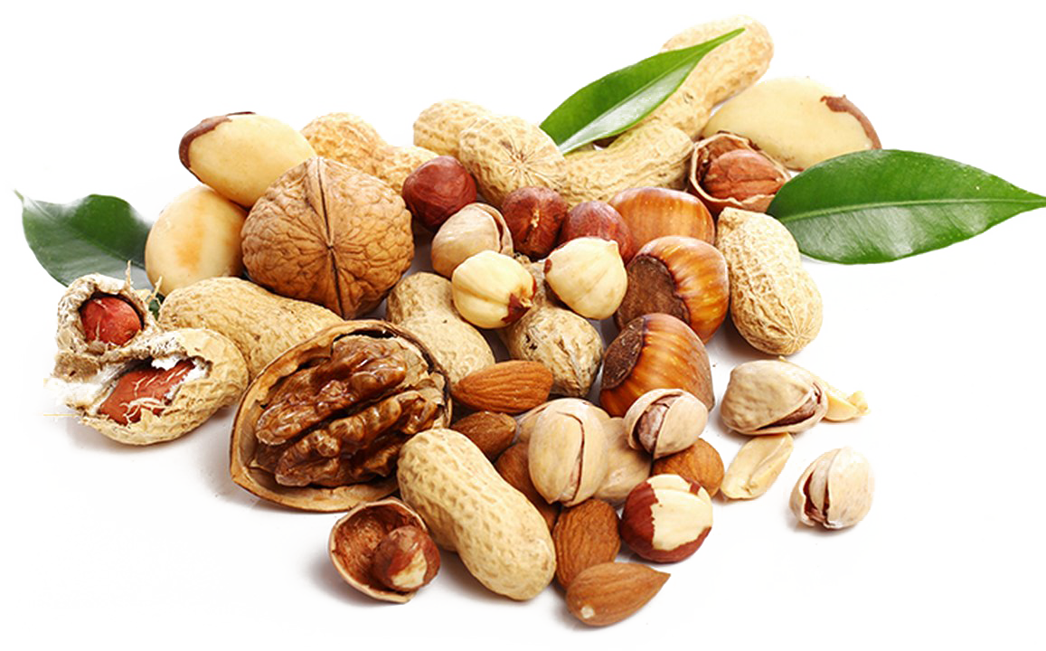 Nut PNG High-Quality Image