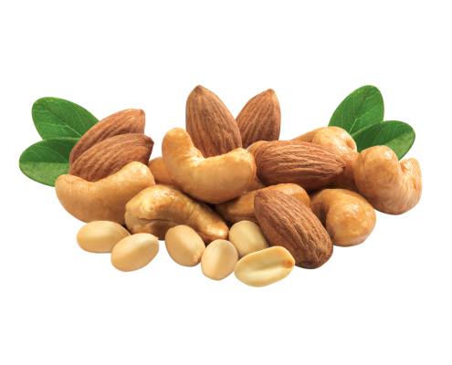 Nut PNG Picture