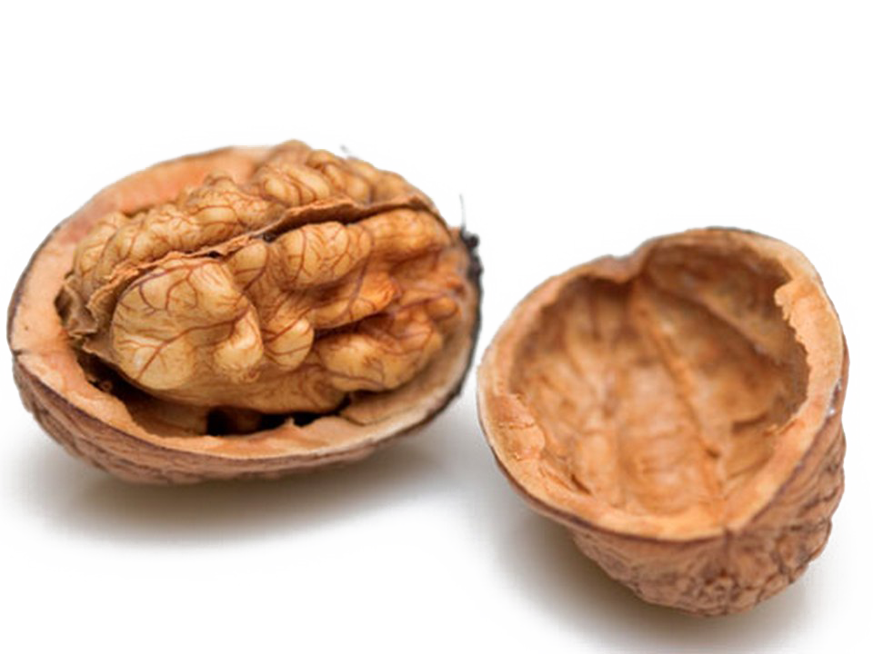 Nut PNG Transparent Image