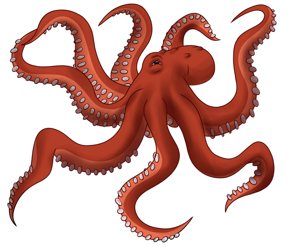 Octopus PNG Free Download
