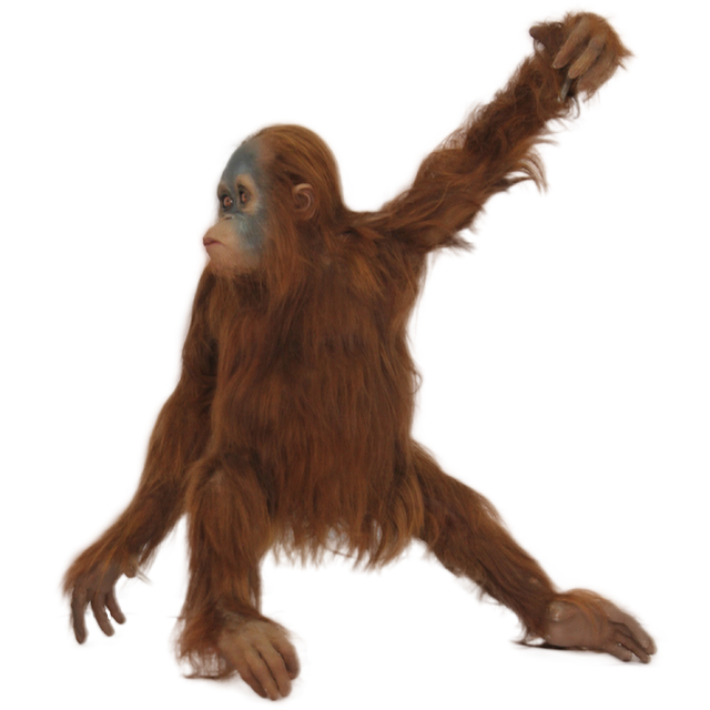 Orangutan PNG высококачественный образ