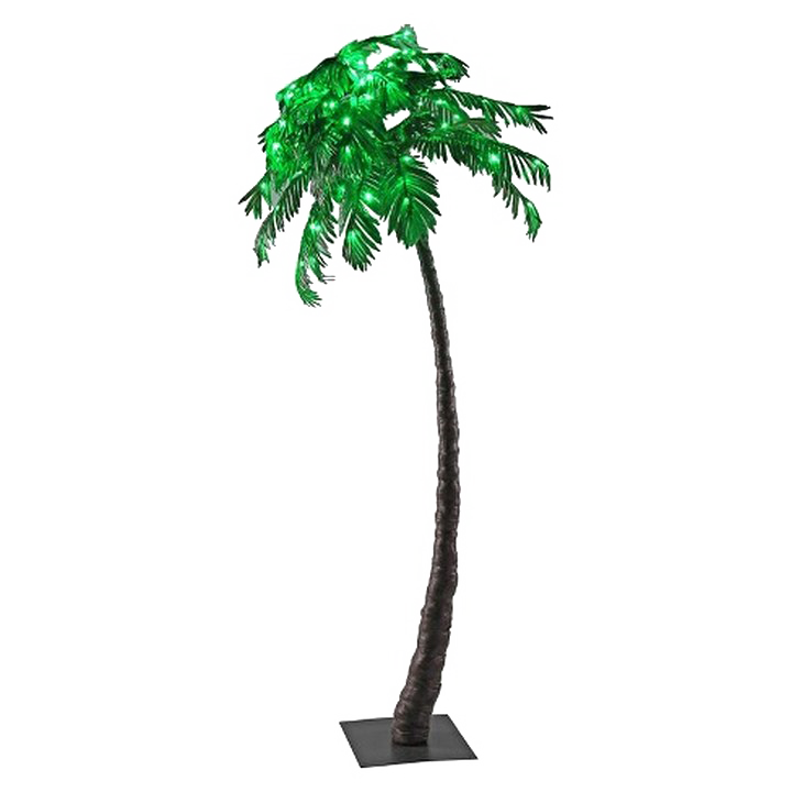 Palm Tree Transparent Background PNG