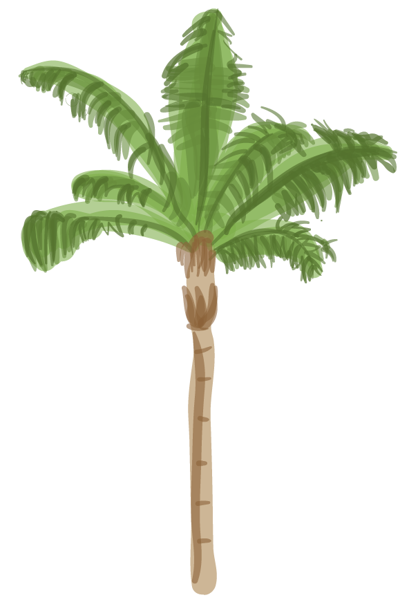 Pohon Palm Transparent