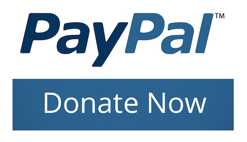 Paypal Donate PNG High-Quality Image