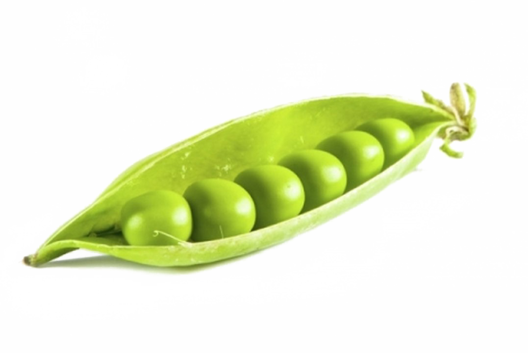 Pea PNG Background Image