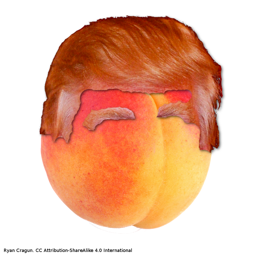 Peach PNG Picture