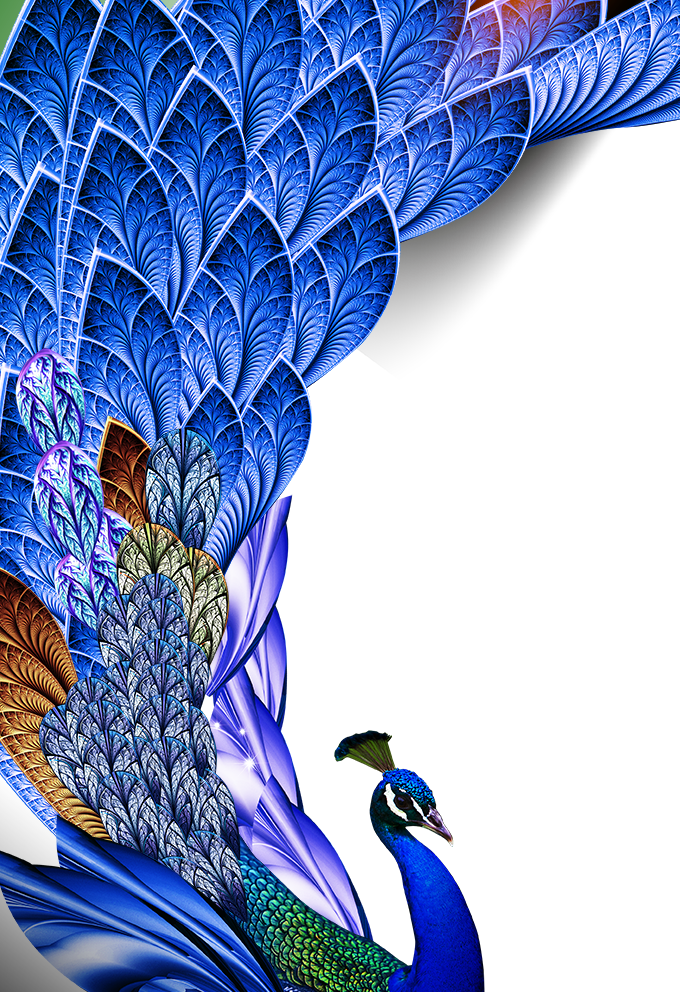 Peacock PNG Download Image | PNG Arts